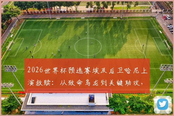 2026世界杯预选赛埃及后卫哈尼上演救赎：从致命乌龙到关键助攻，解读球员心理与赛场转折